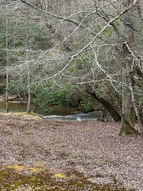 0000 Burt Creek Rd, Dawsonville, GA 30534