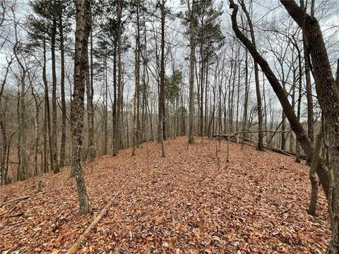 0 Browntown Rd, Rockmart, GA 30153