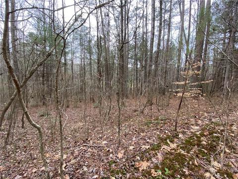 Lot 17 Eastridge Lane, Ellijay, GA 30536