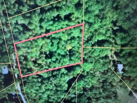38 Christy Lane, Dahlonega, GA 30533