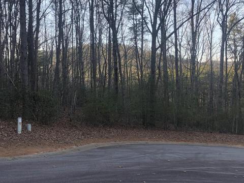 1433 Northern Spy Dr, Clarkesville, GA 30523