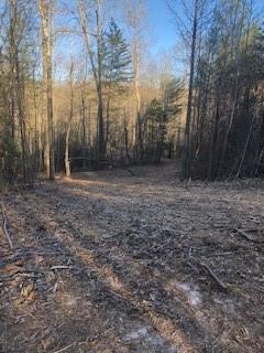1 Still Road, Dahlonega, GA 30533