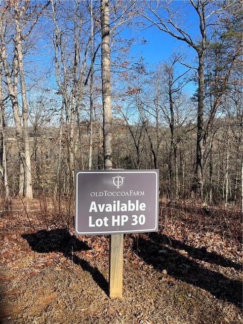 Hp-30 Old Toccoa Loop, Mineral Bluff, GA 30559