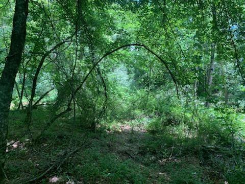 4176 State Highway 186, Good Hope, GA 30641