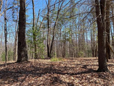0 Flagpole Rd, Ellijay, GA 30540
