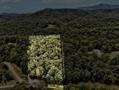 0 Chopped Rd, Ellijay, GA 30540