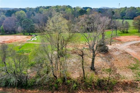 390 Lower Union Hill Rd, Canton, GA 30115