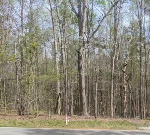0 Dorsett Shoals Rd, Douglasville, GA 30135