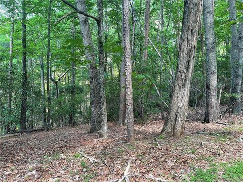 119 Crazy Bear Rdg, Big Canoe, GA 30143