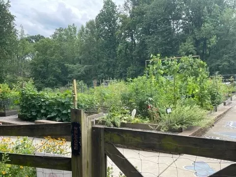 3467 Corner Post Path #47, Suwanee, GA 30024 photo 52