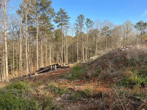 55 Alcovy Reserve Way, Covington, GA 30014