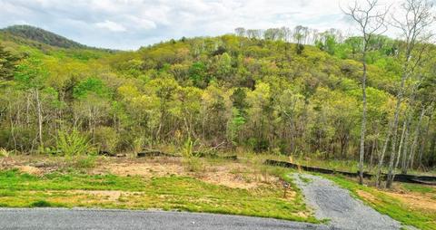 0 Timberline Trail Lot 96 Trl, Ellijay, GA 30540