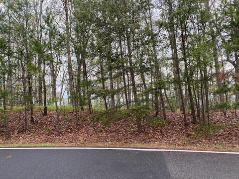 169 Bluestern Dr SE, Big Canoe, GA 30143