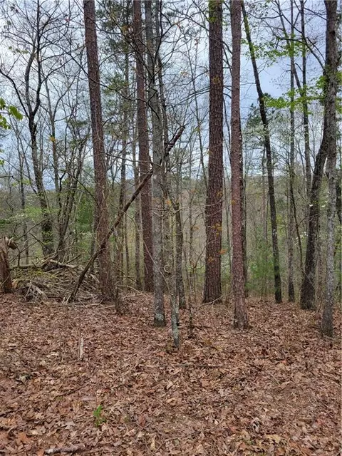 Lot 17 Rebekah Ridge Ridge, Talking Rock, GA 30175