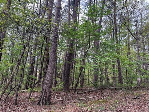Lot 9 Deerfield Estates, Fairmount, GA 30139