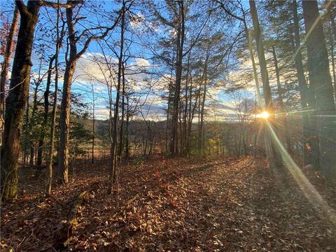 741 Harkins Road Tract, Cleveland, GA 30528