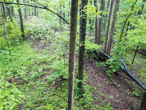 6874 County Line Rd, Lula, GA 30554