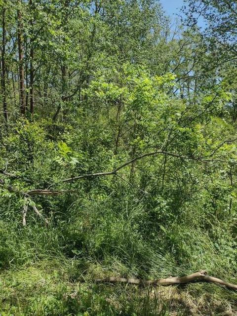 108 Watson St, Lagrange, GA 30241 photo 2