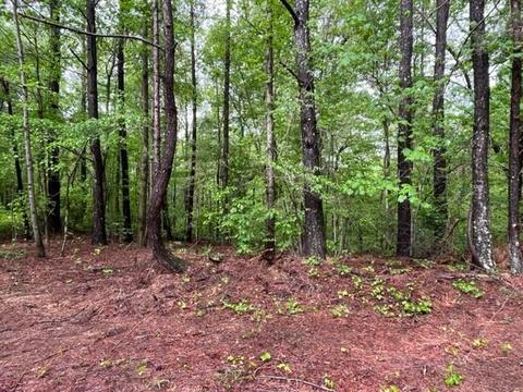 00 Swan Bridgemark Foster Rd, Talking Rock, GA 30175