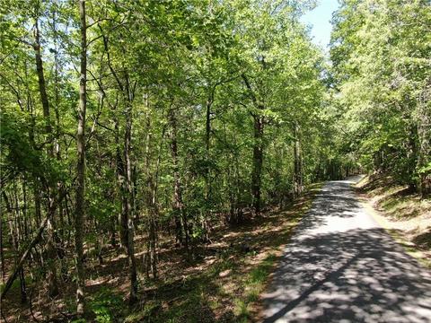 6255 Chesla Dr, Gainesville, GA 30506