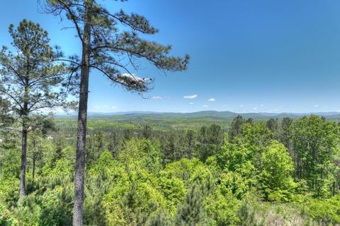 Lot 249 Thirteen Hundred, Blairsville, GA 30512