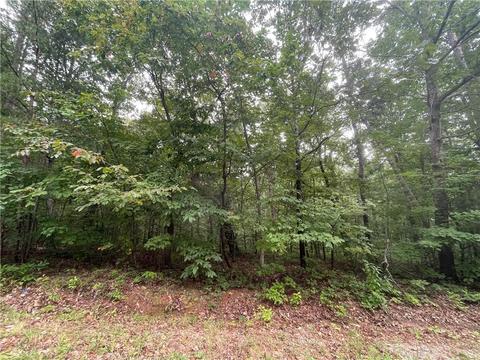 00 Fern Valley Trl, Clarkesville, GA 30523