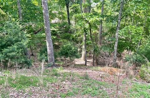 0 Medina Ct, Ellijay, GA 30540
