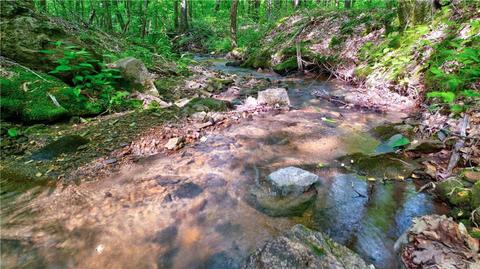 0 Summit- 2166 Acres Rdg, Ellijay, GA 30536