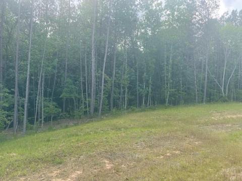 0 Jerusalem Farms Trl, Jasper, GA 30143