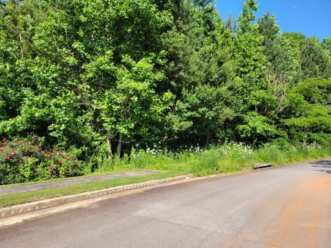 63 Cedar Clf, Temple, GA 30179 photo 2