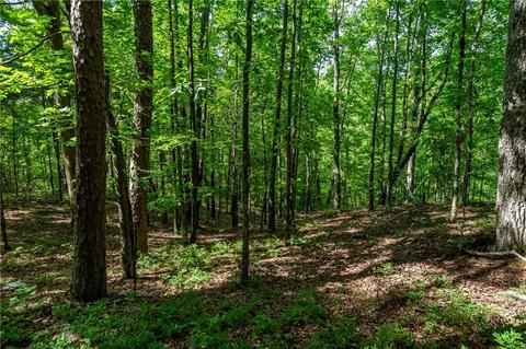 00 Long Branch Trl, Ranger, GA 30734
