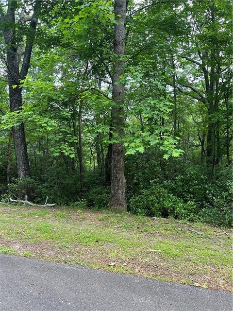 2643 Sunset Ct, Jasper, GA 30143 photo 4