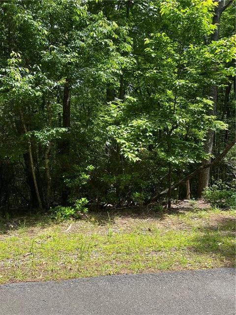 2643 Sunset Ct, Jasper, GA 30143 photo 8