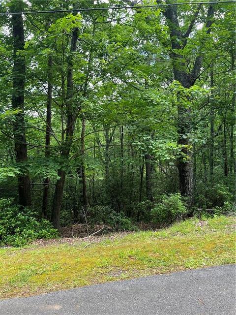 2643 Sunset Ct, Jasper, GA 30143 photo 2