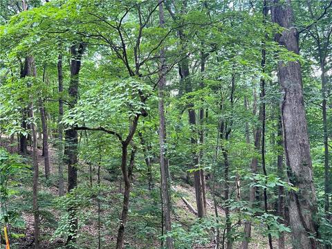 2643 Sunset Ct, Jasper, GA 30143 photo 16