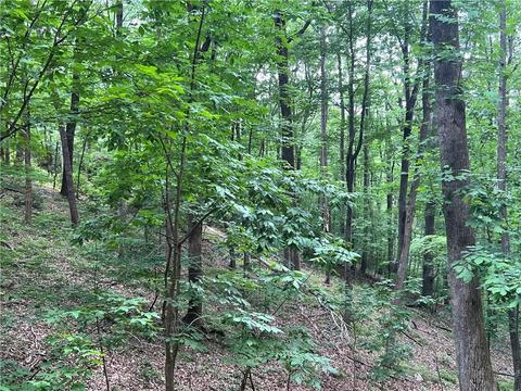 2643 Sunset Ct, Jasper, GA 30143 photo 15