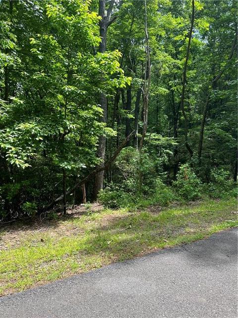 2643 Sunset Ct, Jasper, GA 30143 photo 9