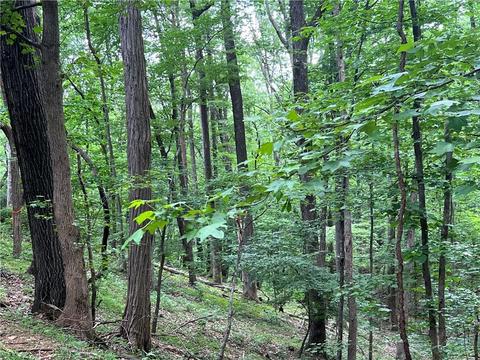 2643 Sunset Ct, Jasper, GA 30143 photo 13