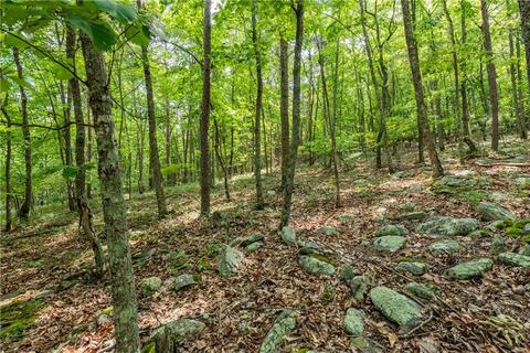 309 Stonehaven Ct, Jasper, GA 30143