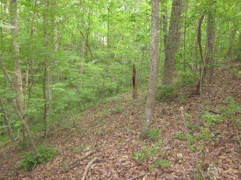 00 Apache Ridge Rd, Jasper, GA 30143 photo 11