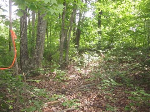 00 Apache Ridge Rd, Jasper, GA 30143 photo 6