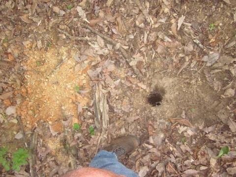 00 Apache Ridge Rd, Jasper, GA 30143 photo 12
