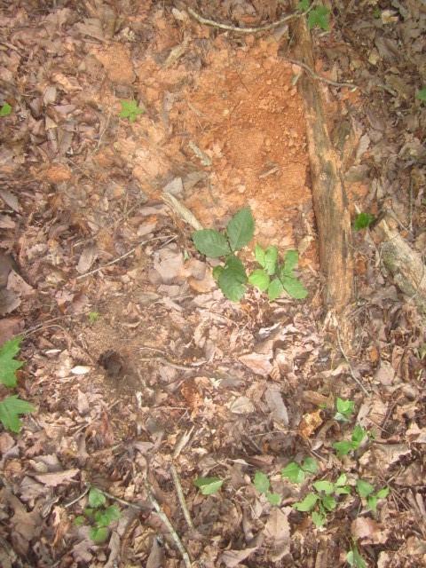00 Apache Ridge Rd, Jasper, GA 30143 photo 5
