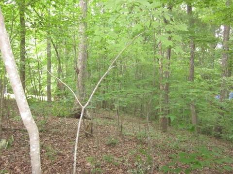 00 Apache Ridge Rd, Jasper, GA 30143 photo 7