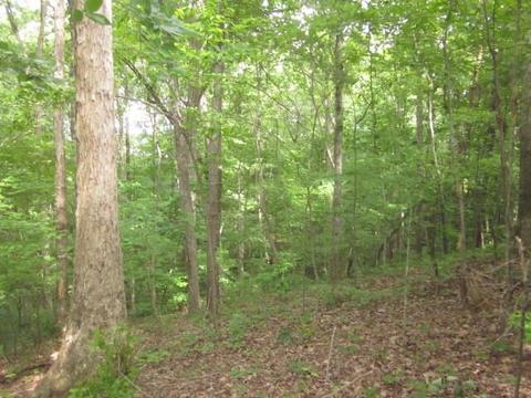 00 Apache Ridge Rd, Jasper, GA 30143 photo 4