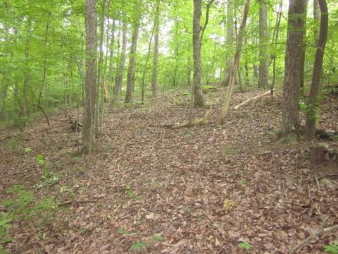 00 Apache Ridge Rd, Jasper, GA 30143 photo 10