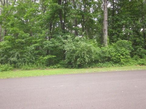 00 Apache Ridge Rd, Jasper, GA 30143 photo 13