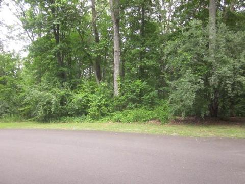 00 Apache Ridge Rd, Jasper, GA 30143 photo 14
