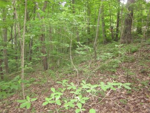00 Apache Ridge Rd, Jasper, GA 30143 photo 9