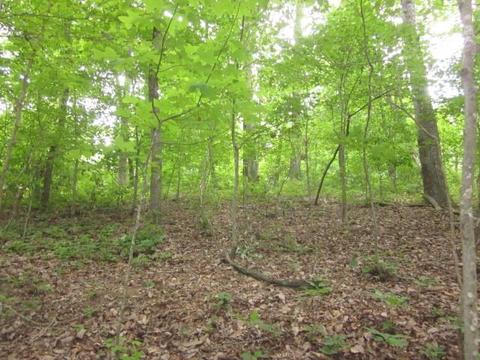 00 Apache Ridge Rd, Jasper, GA 30143 photo 8